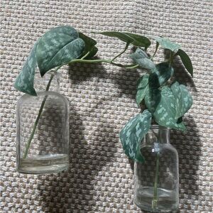 Hearth and Hand faux plants